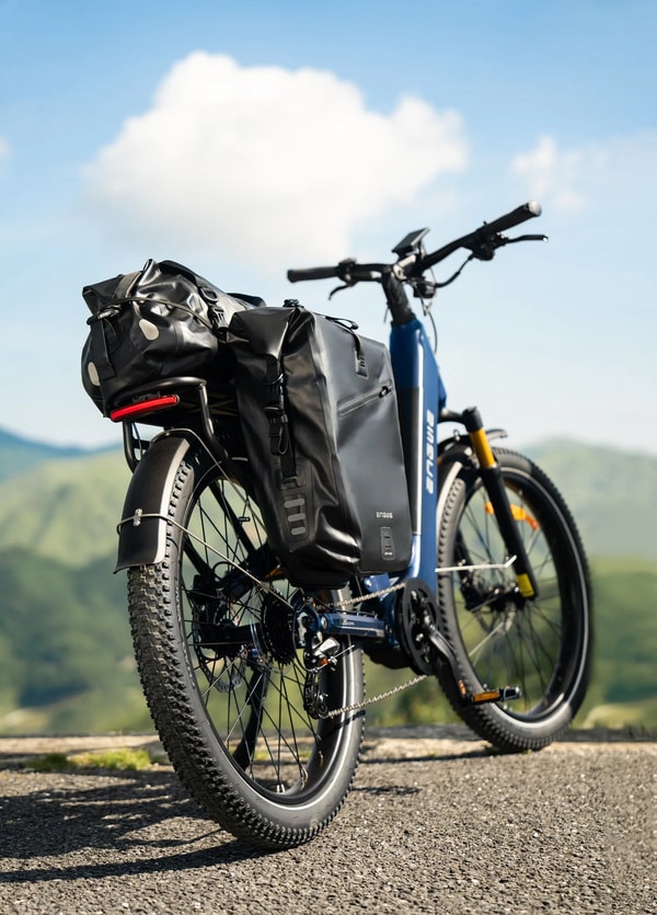 Blauwe Engwe E26 3.0 Pro elektrische fiets met fietstassen getoond vanuit een driekwart achteraanzicht onder een blauwe lucht