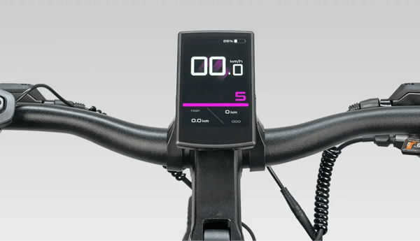 Engwe E26 3.0 Pro kleurendisplay close-up die snelheid, accupercentage en trapondersteuningsniveau vijf toont