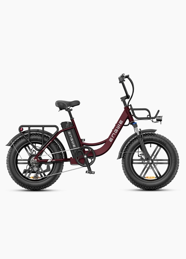 Rode Engwe L20 Boost elektrische instap-fatbike getoond in zijaanzicht met bagagedrager, voorste bagagedrager, volledige spatborden en verwijderbare accu